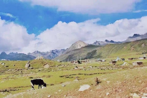 青藏高原公路上的风景图片