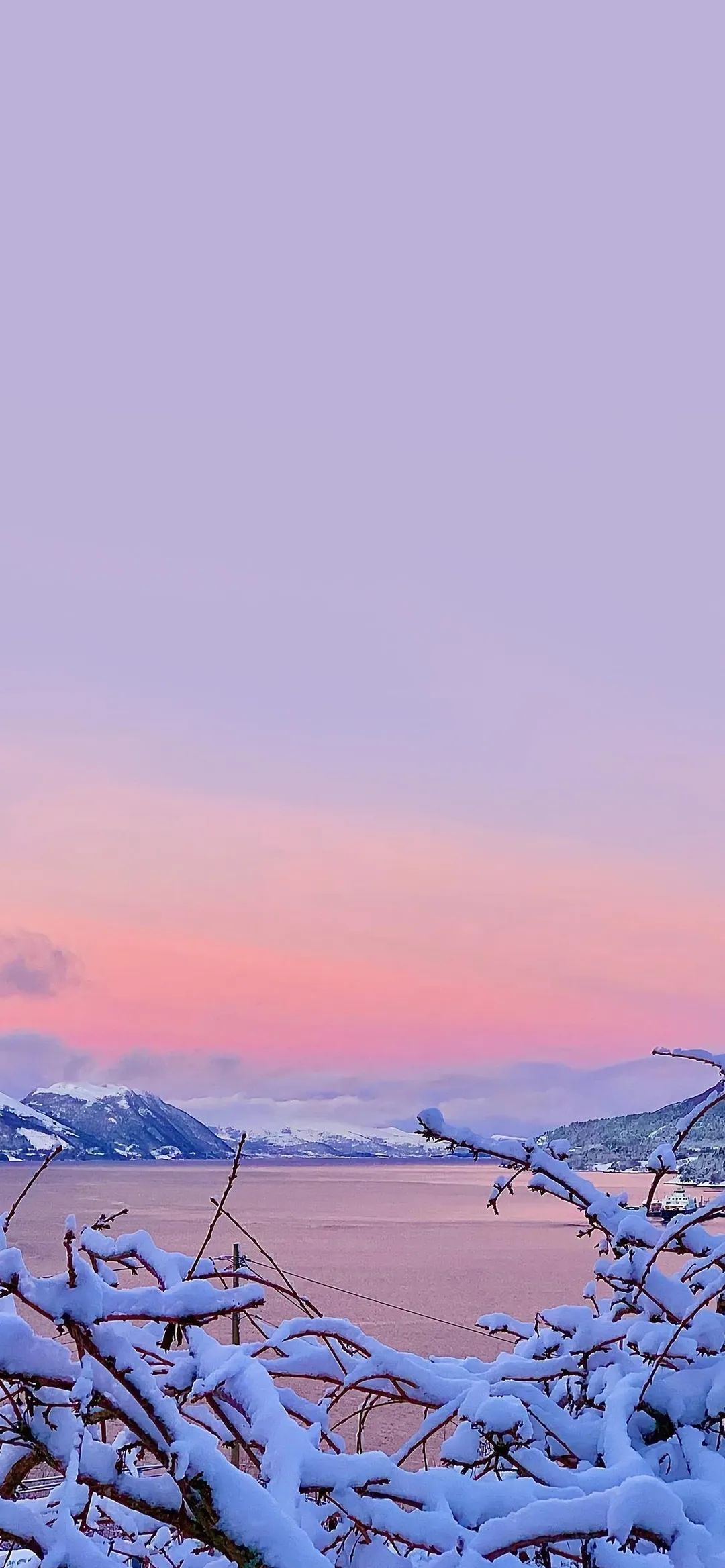 【冬日背景图片9张】冬季雪景图片壁纸唯美紫色