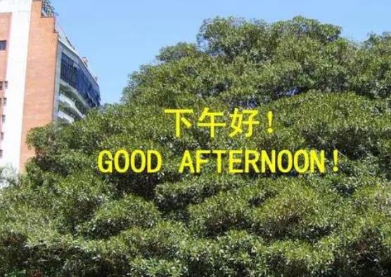 星期一下午好图片 2023星期一下午好图片大全