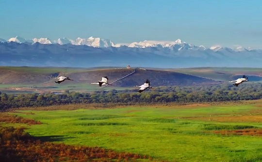 2022新款风景背景图片|新疆草原随手一拍就是壁纸