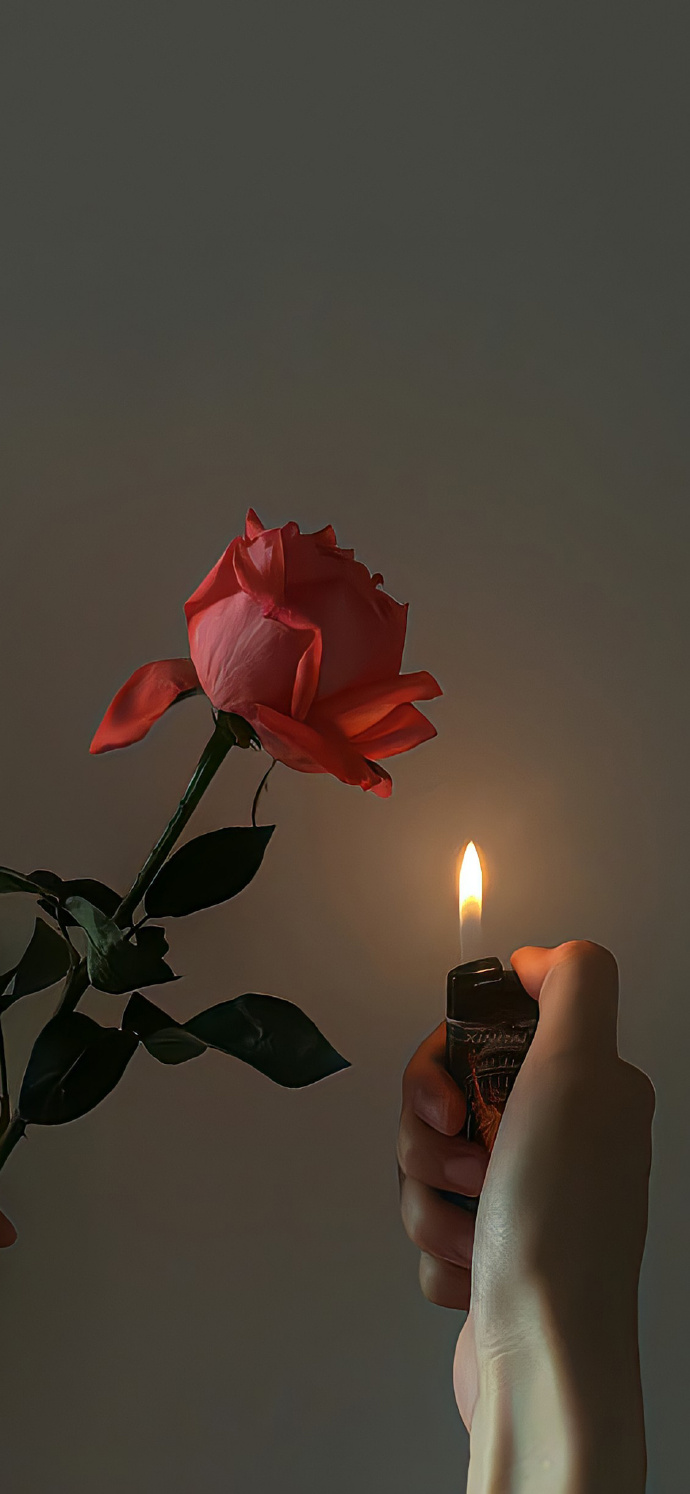 神仙ins锁屏壁纸玫瑰 超好看的玫瑰花高清手机壁纸图片