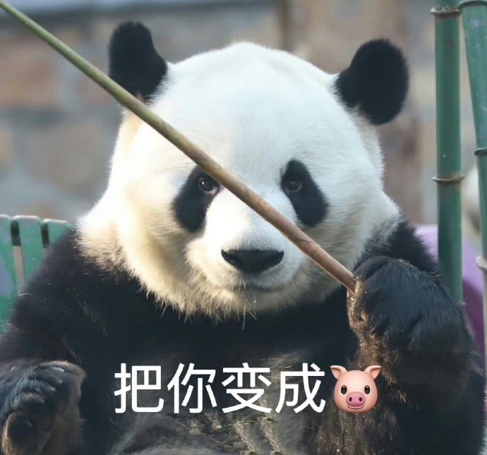 大熊猫表情包可爱图片-西直门三太子萌兰表情包