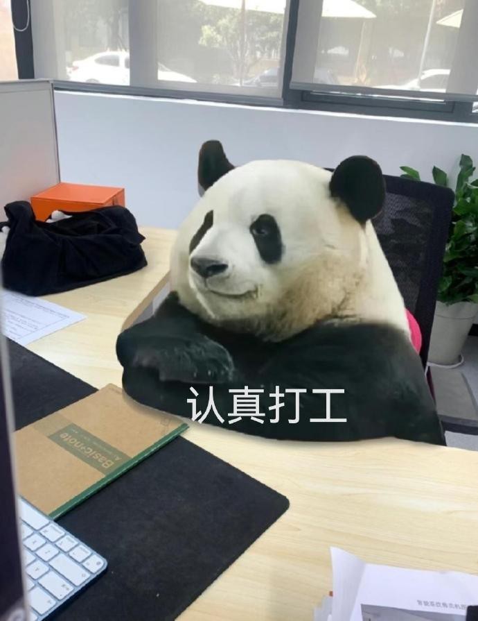 大熊猫萌兰表情包可爱图片|西直门三太子萌兰打工表情包