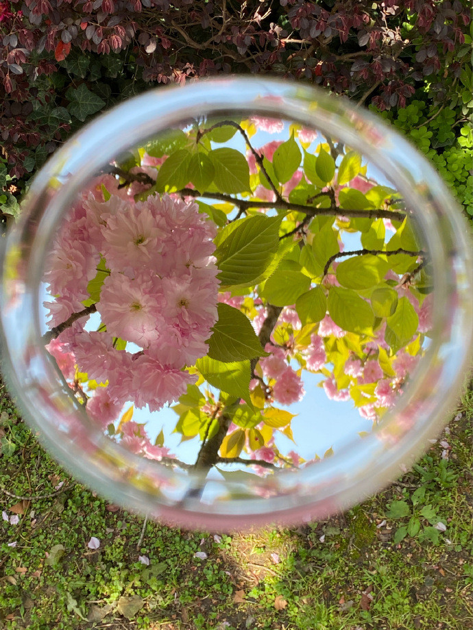 6月最好看的图片，朋友圈的背景图唯美好看