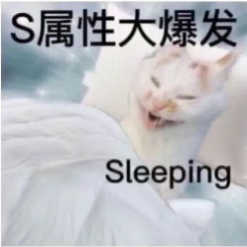 S属性大爆发表情包图片|sleeping|stupid|study