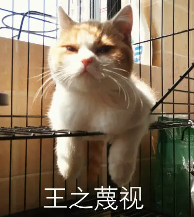 9张轻蔑一笑的表情包 表示轻蔑的图片表情包