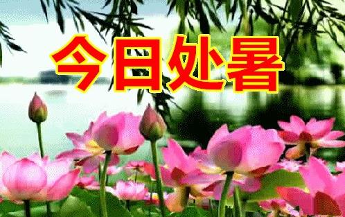 2022处暑的早安图片美景 处暑的美图欣赏
