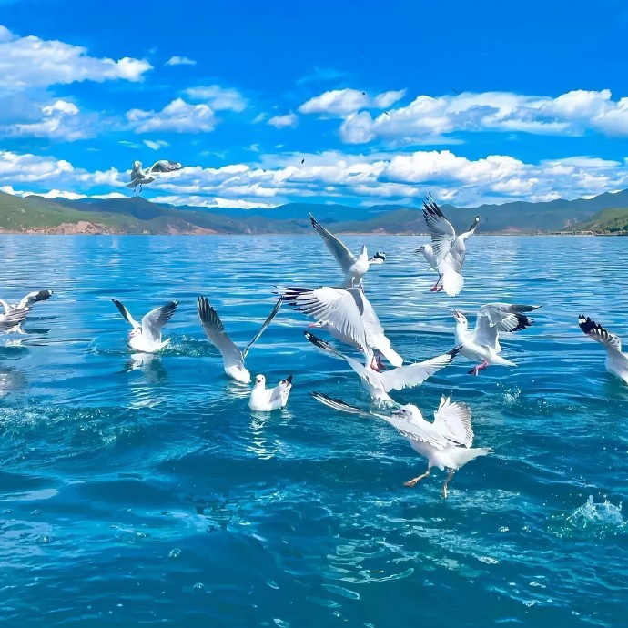 清新治愈系天空头像 治愈系天空背景图