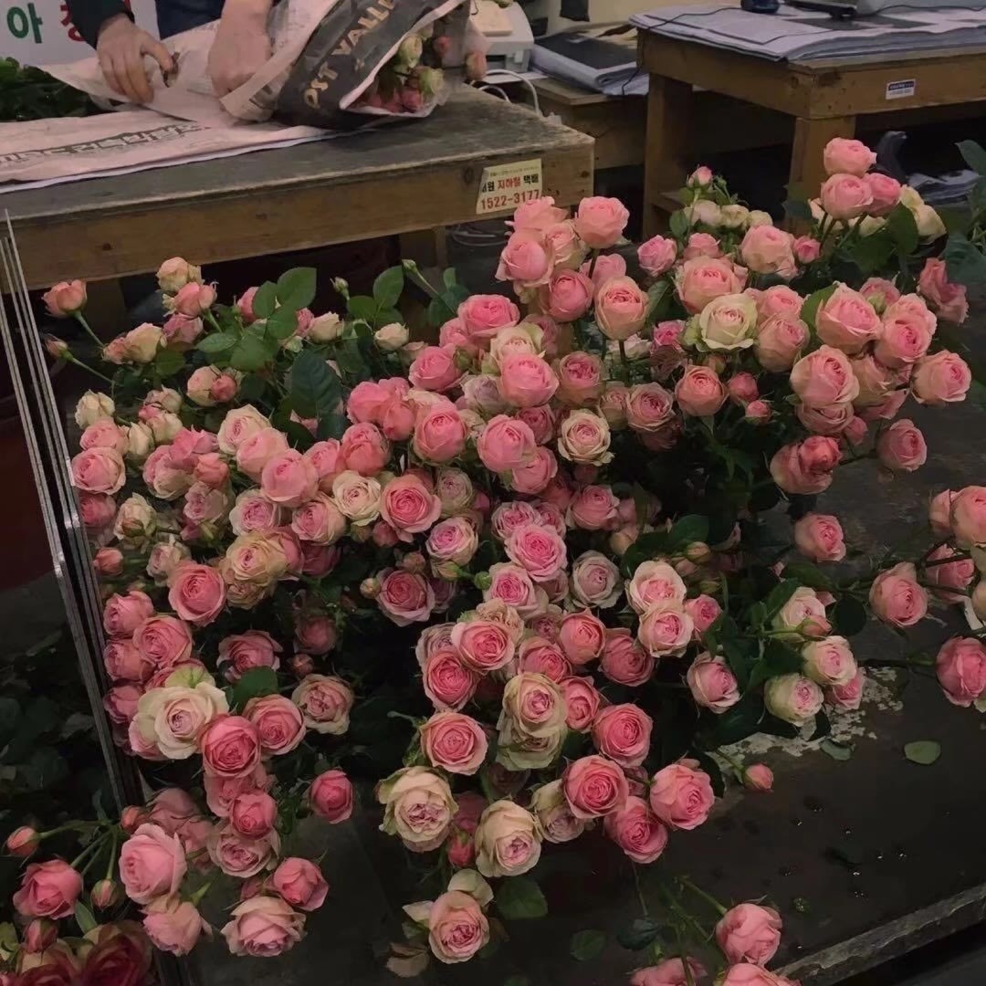 好看的花图片背景|花会沿路盛开，你以后的路也
