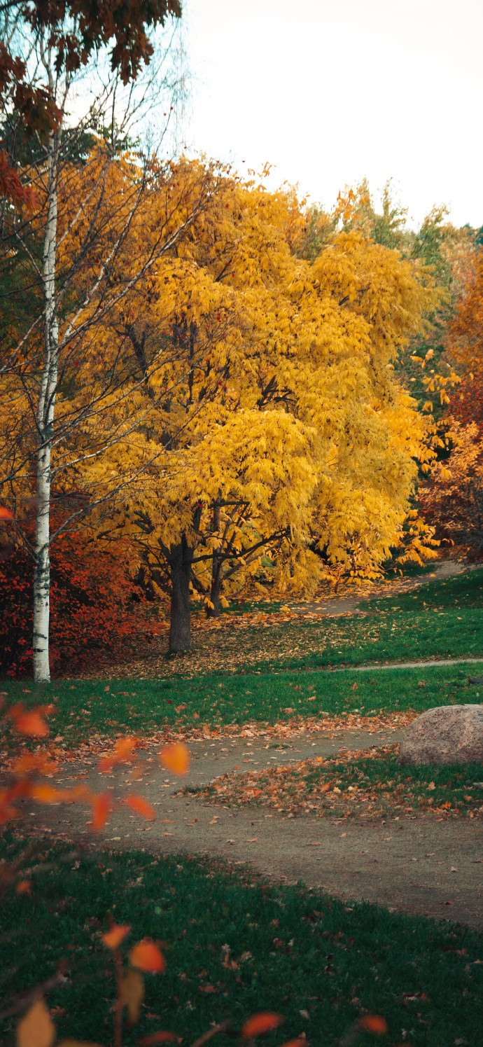 漂亮秋景图片合集 秋天风景壁纸高清图片