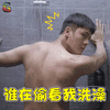 南方有乔木陈伟霆动态表情包图片