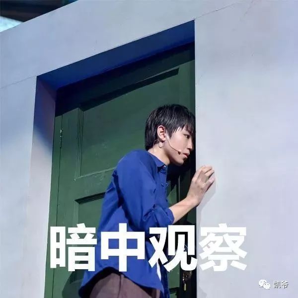 演员的诞生王俊凯哪一期-王俊凯我就是演员