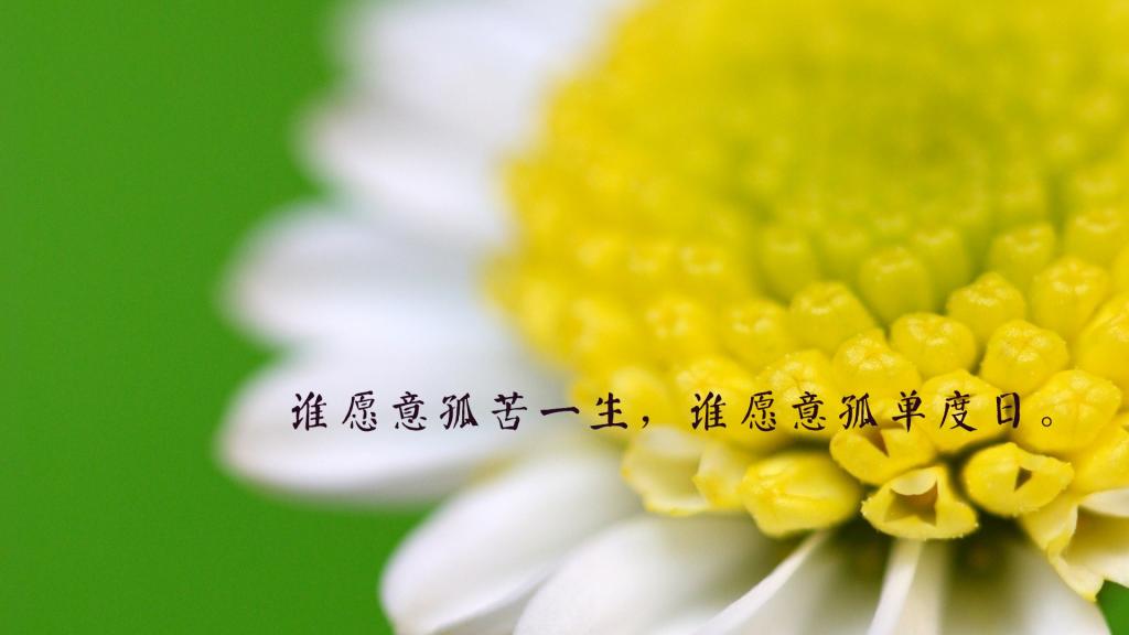 表达心情难过的伤感唯美风景说说配图图片大全