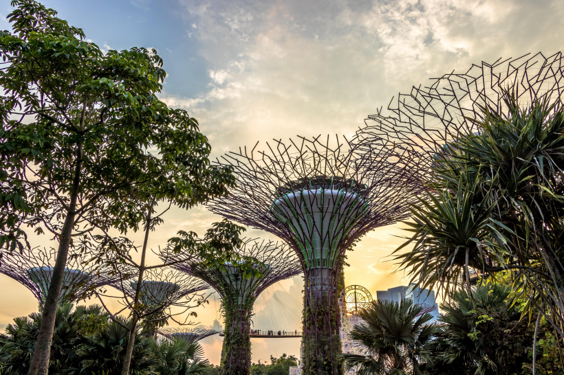 新加坡滨海湾花园风景图片