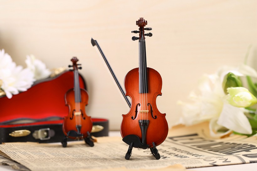 漂亮的小提琴玩具图片
