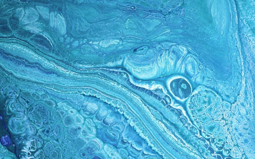 水和油交融艺术桌面壁纸[1920x1200]