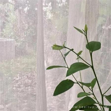 [热]小清新风景朋友圈背景大全 别跟我谈感情想