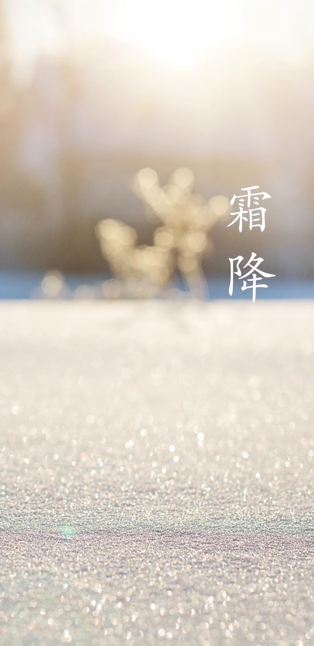 秋天细碎的闪光唯美霜降时节图片