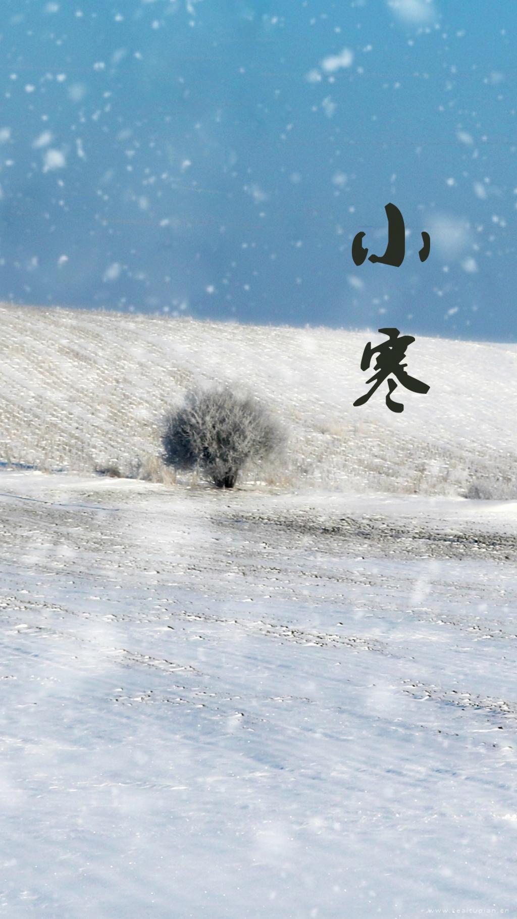 小寒节气雪白美景手机壁纸图片