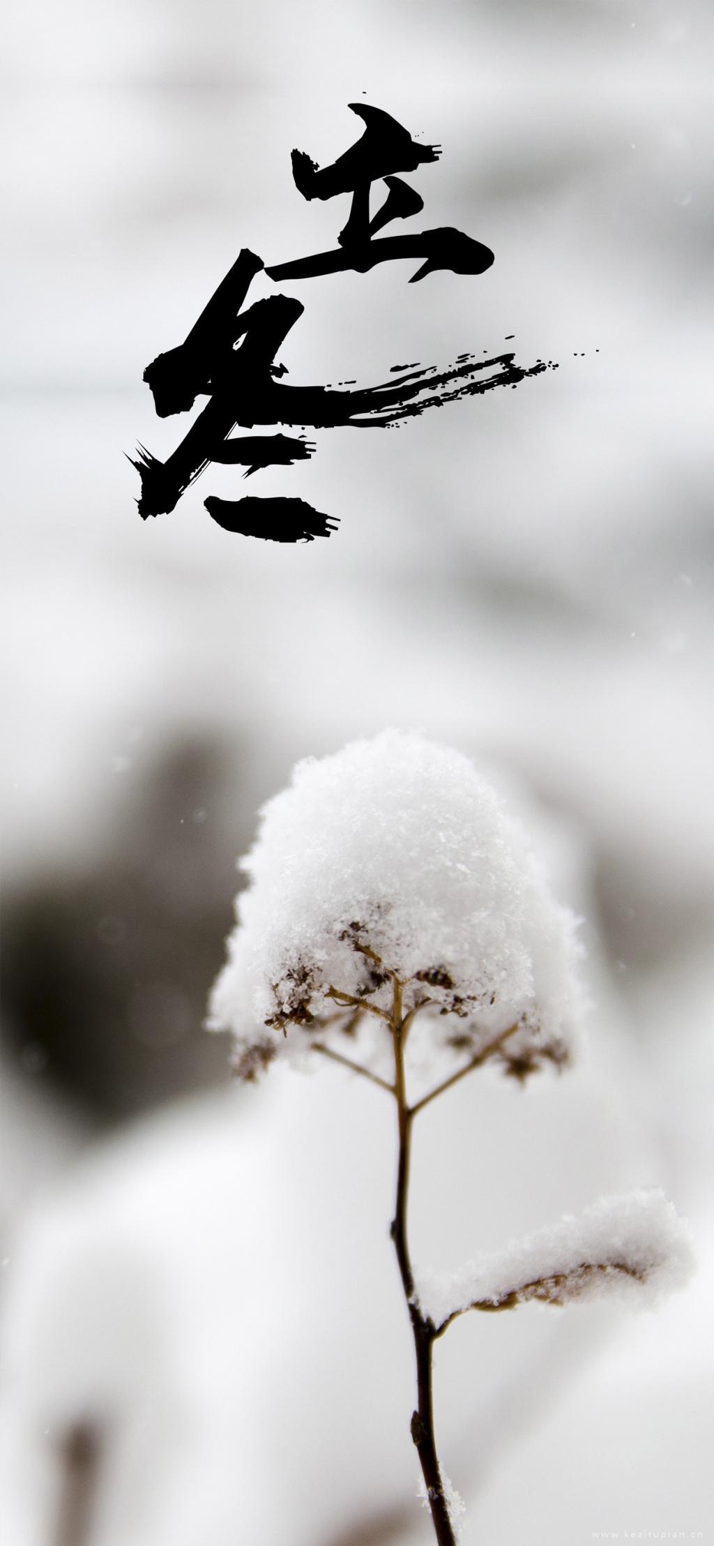 立冬图片素材-正版创意图片400068941-摄图网