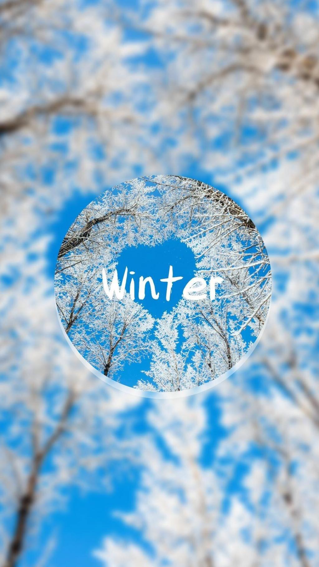 只属于你的冬季美景·挂满冰霜的树木图片