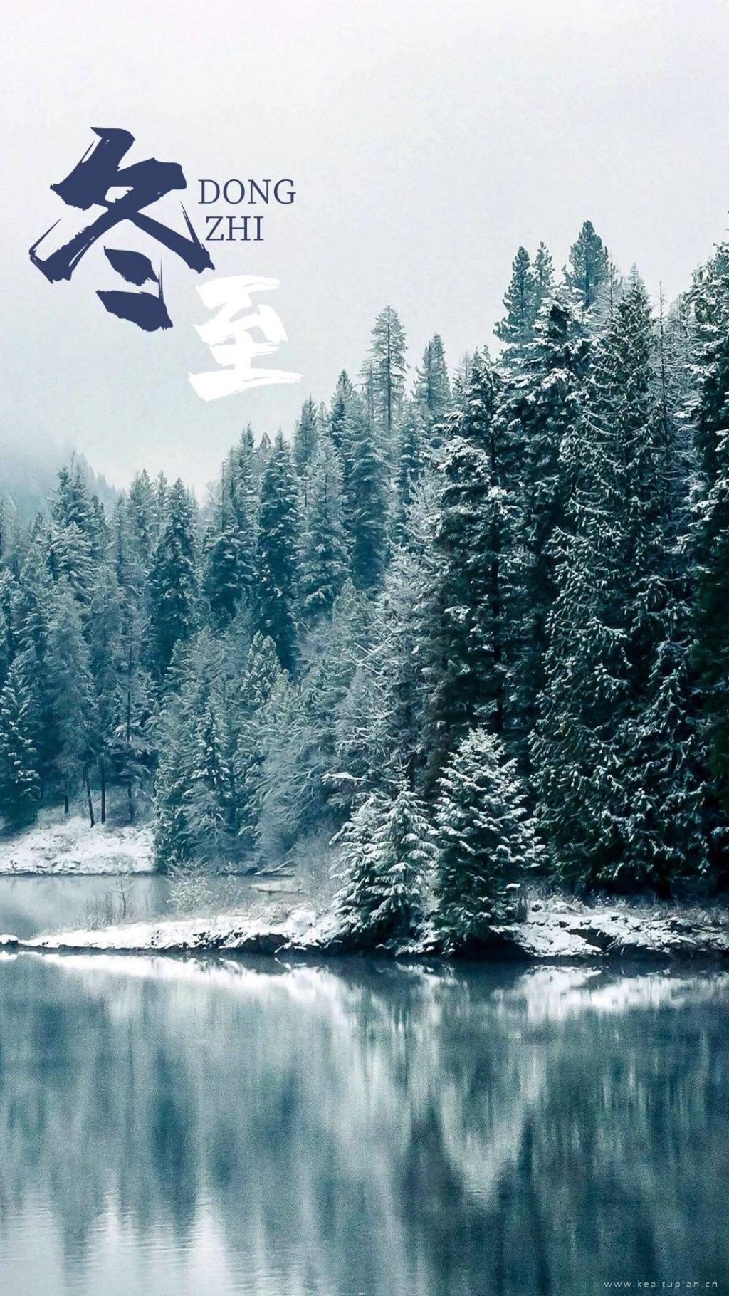 24节气冬至精选优美森林雪景图片