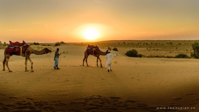 沙漠上行走的骆驼唯美壁纸图片