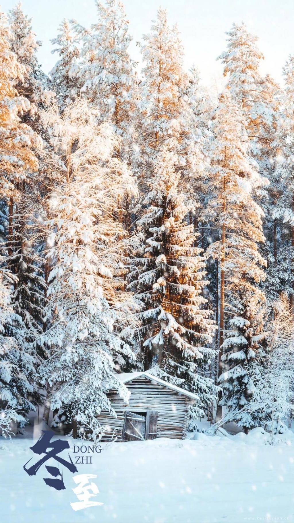 超美冬至雪景唯美手机背景壁纸图片