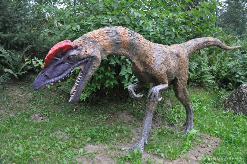 恐龙模型图片-漂亮的白垩纪时期的恐龙模型图片大全