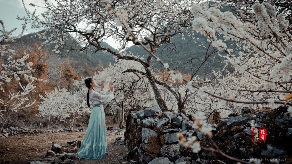 花林中惬意漫步执扇的古装美女文艺古风写真图