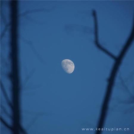 今晚夜空无星月色温柔，晚安图片