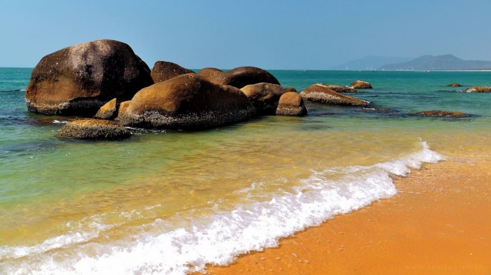 海浪、游人、椰子树、礁石，夏日海边风景图片