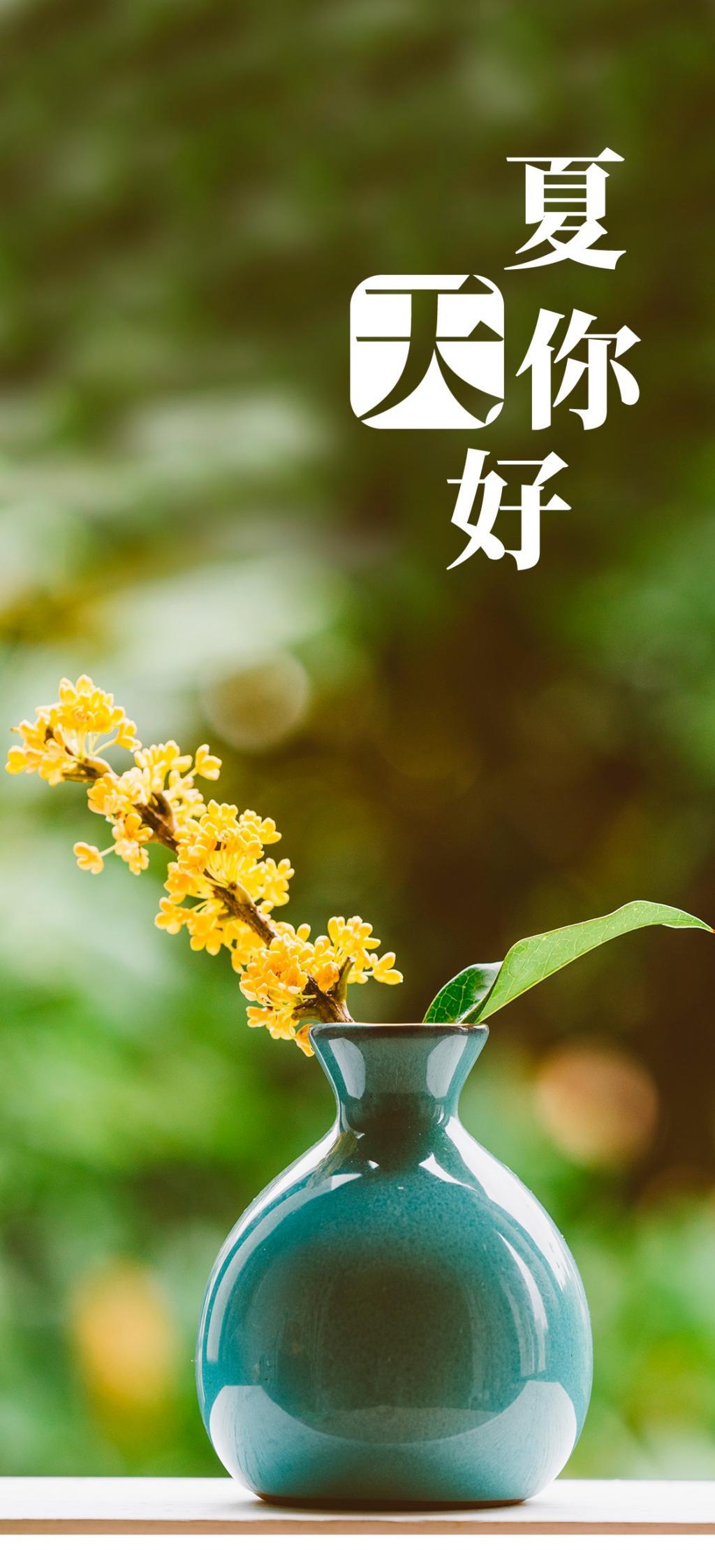 夏天你好！一枝插在青蓝陶瓷花瓶的花朵清新高
