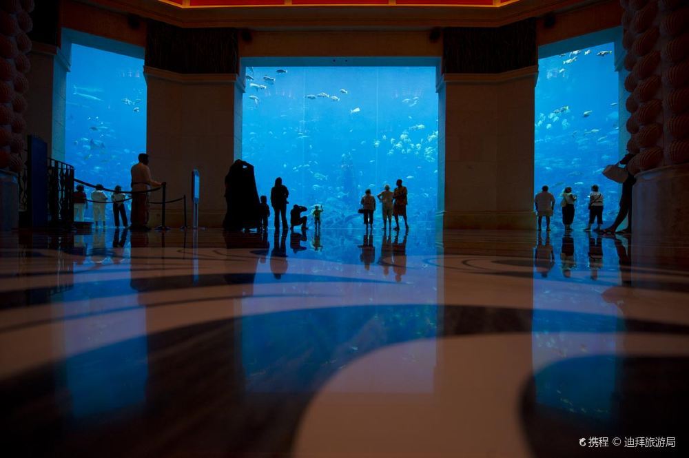 高清迪拜迪拜失落的空间水族馆图片 迪拜失落的空间水族馆旅游景点真实照片风景