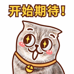 猫咪期待可爱萌宠动态表情包图片