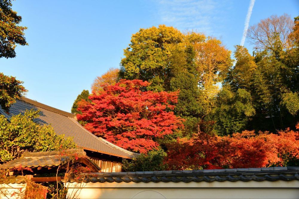 高清京都三年坂二年坂图片 三年坂二年坂旅游景点真实照片风景