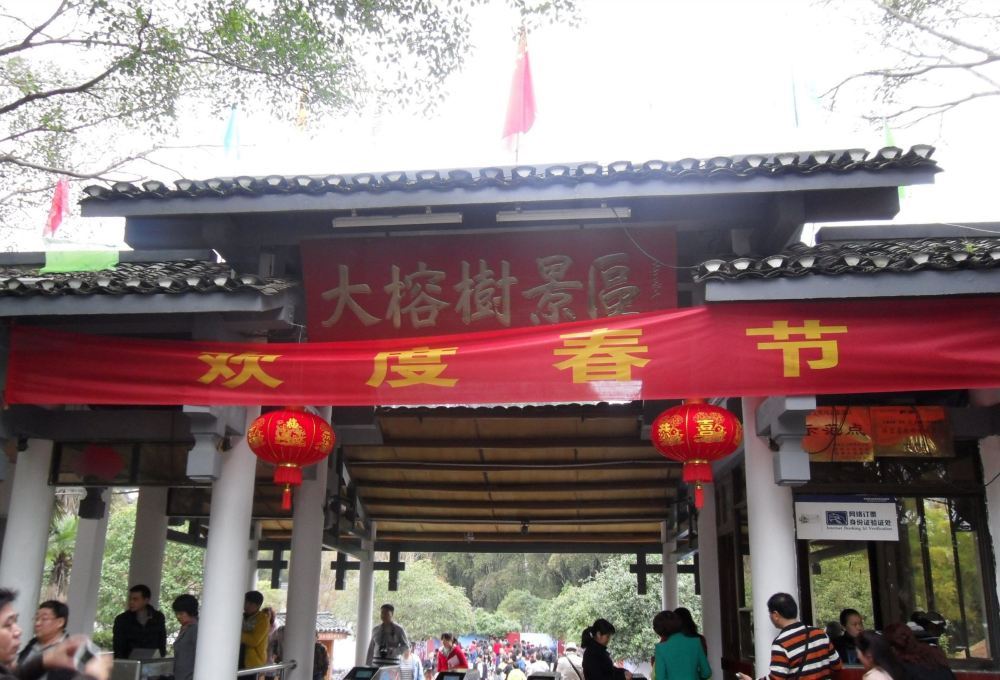 桂林大榕树旅游景点高清风景图片