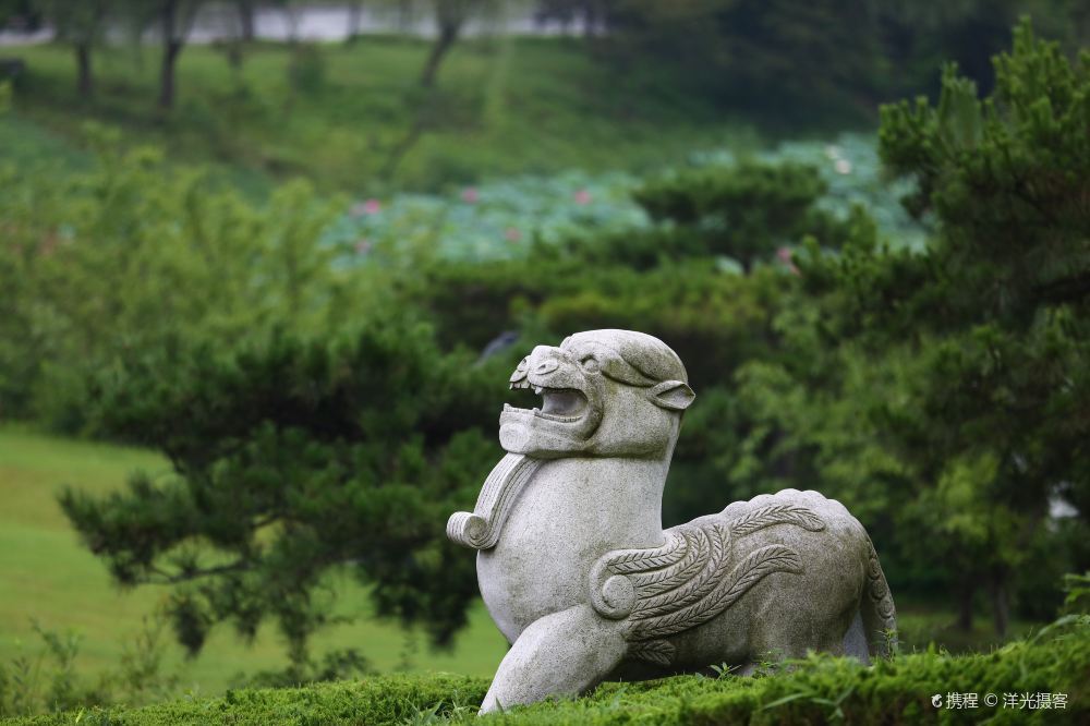 高清扬州汉广陵王墓博物馆图片 汉广陵王墓博物馆旅游景点真实照片风景