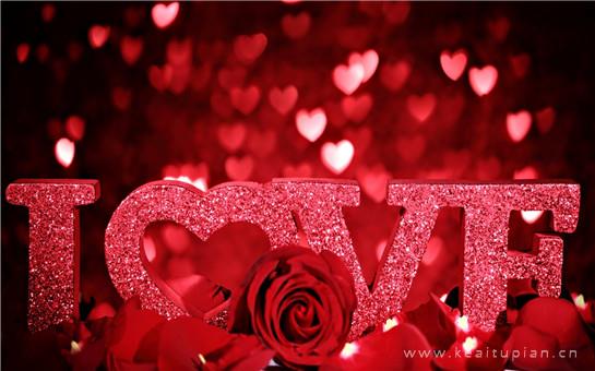 浪漫好看的玫瑰花图片丨人间皆是浪漫