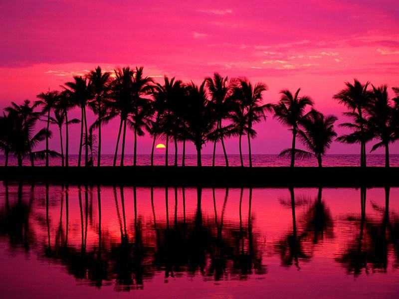 迷人的夏威夷的风景图片
