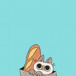 卡通小猫咪可爱萌图高清图片壁纸