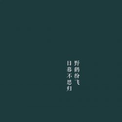 文字简约主题手机壁纸高清图片大全