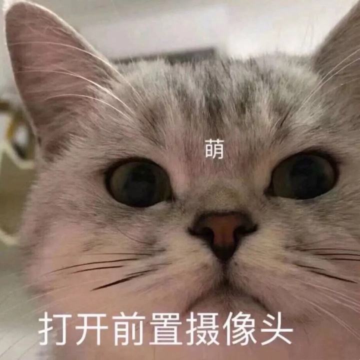 有趣朋友圈说说配图 有趣的朋友圈背景图片大全