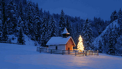 国外的冬季夜晚唯美雪景高清桌面壁纸大图